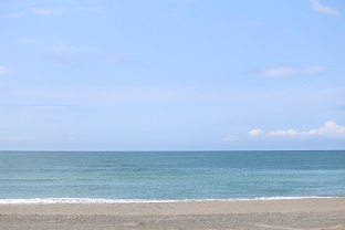 種子島からロケットが打ち上げられるということなので