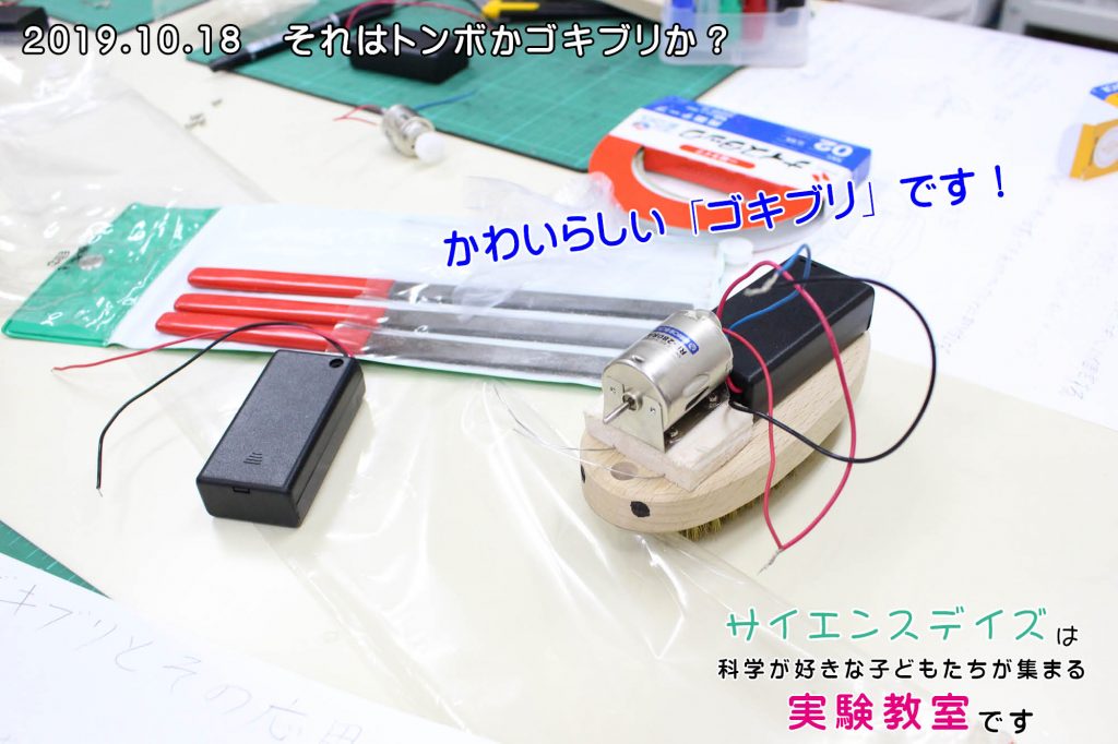 それは飛ばないトンボかゴキブリか?