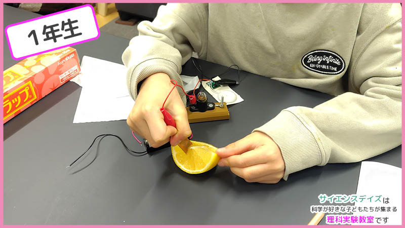 レモンに銅板と亜鉛板を差し込んで電池を作る小学生 - 果物電池の仕組みを体験するサイエンスデイズの授業