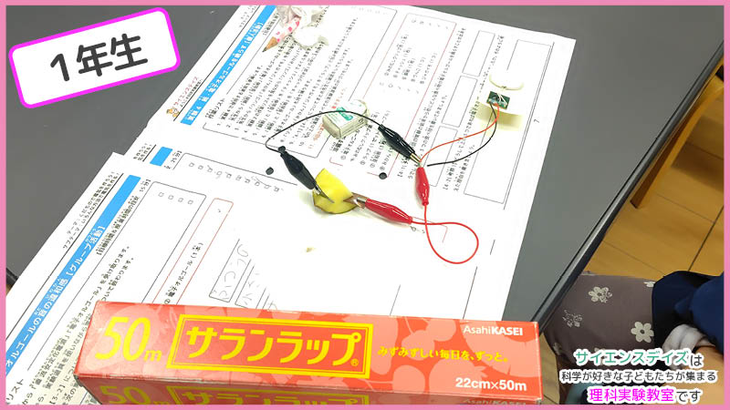 ジャガイモに銅板と亜鉛板を差し込む小学生 - いろいろな食材で電池実験に挑戦するサイエンスデイズの授業風景