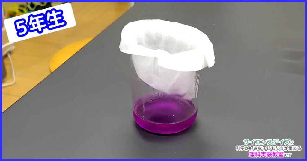 紫キャベツから抽出した色素液 - サイエンスデイズの理科実験教室
