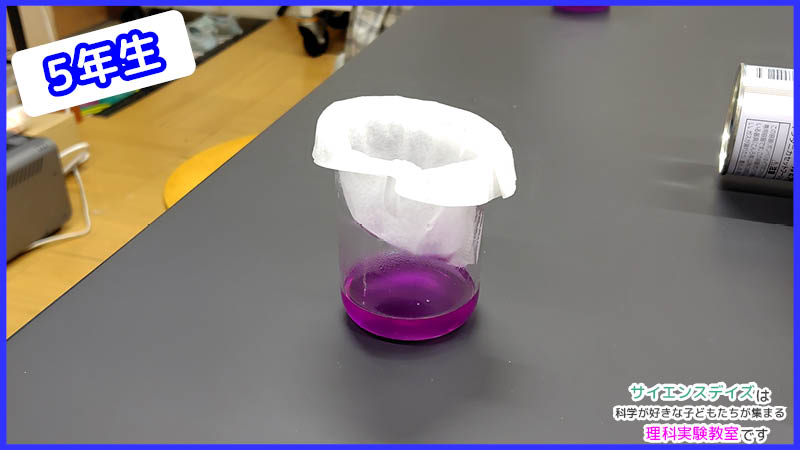 紫キャベツから抽出した色素液 - サイエンスデイズの理科実験教室