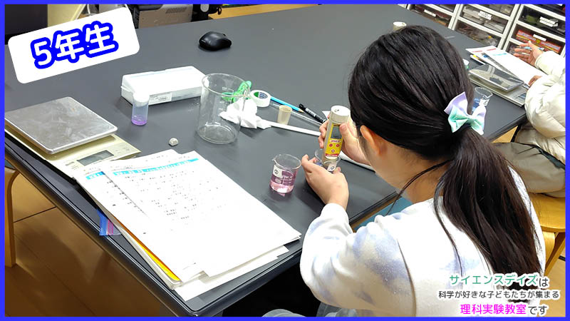 紫キャベツの色素が入ったビーカーにpH計を入れて測定する子ども - サイエンスデイズの理科実験教室