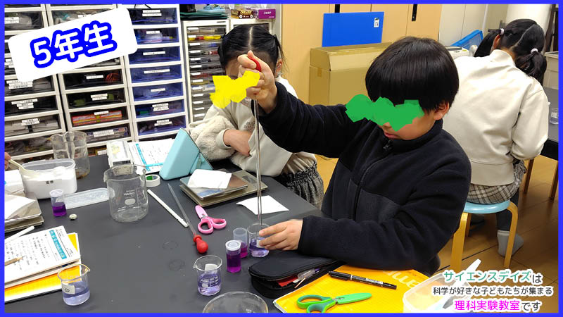 メスピペットで紫キャベツの色素をビーカーに入れる子ども - サイエンスデイズの理科実験教室