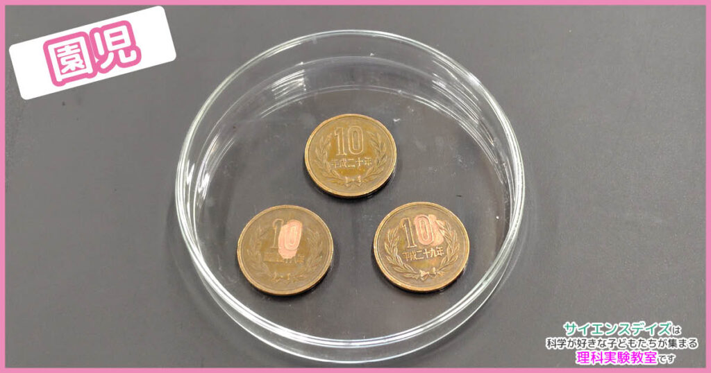 ガラス皿に並べた実験後の3枚の10円玉。うっすらと赤銅色が見えてくる変化を観察する園児クラスの実験結果 - 身近な調味料に隠れた科学を体験するサイエンスデイズの体験型授業