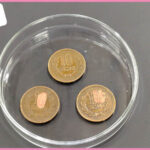 10円玉ピカピカ実験｜園児クラスの授業風景