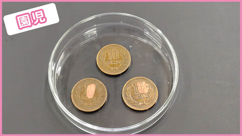 ガラス皿に並べた実験後の3枚の10円玉。うっすらと赤銅色が見えてくる変化を観察する園児クラスの実験結果 - 身近な調味料に隠れた科学を体験するサイエンスデイズの体験型授業