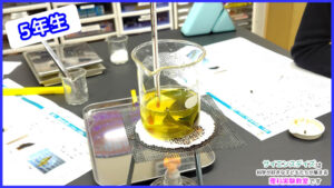 葉脈のしおりづくり