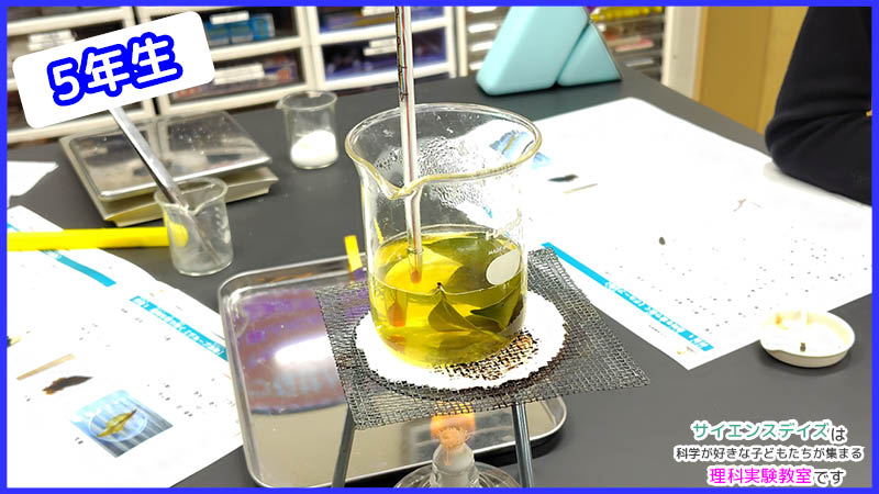 アルコールランプで加熱し黄色く変化した液体の中の葉っぱと温度計 - サイエンスデイズの理科実験教室