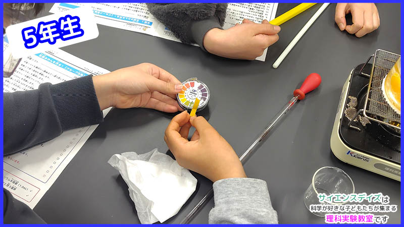 ビーカー内のpH管理のためにpH試験紙で液体の性質を確認する様子 - サイエンスデイズの理科実験教室