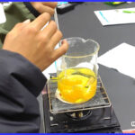 みかんの薄皮を溶かす実験