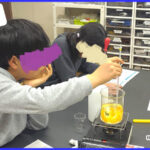 みかんの薄皮を溶かす実験