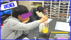 みかんの薄皮を溶かす実験