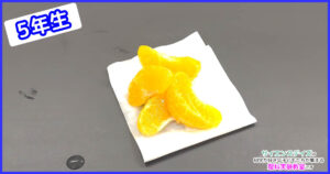 缶詰のみかんはなぜ薄皮がないの？｜酸性・アルカリ性で確かめる実験｜浜松市サイエンスデイズ