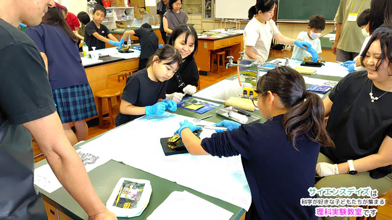 大人に見守られながらアカミミガメの体を観察する小学生