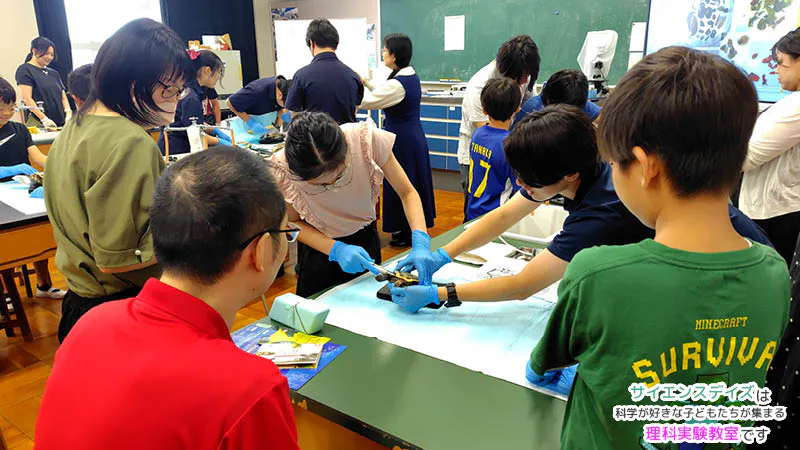 講師と保護者に見守られながらアカミミガメの甲羅の内側を観察する小学生