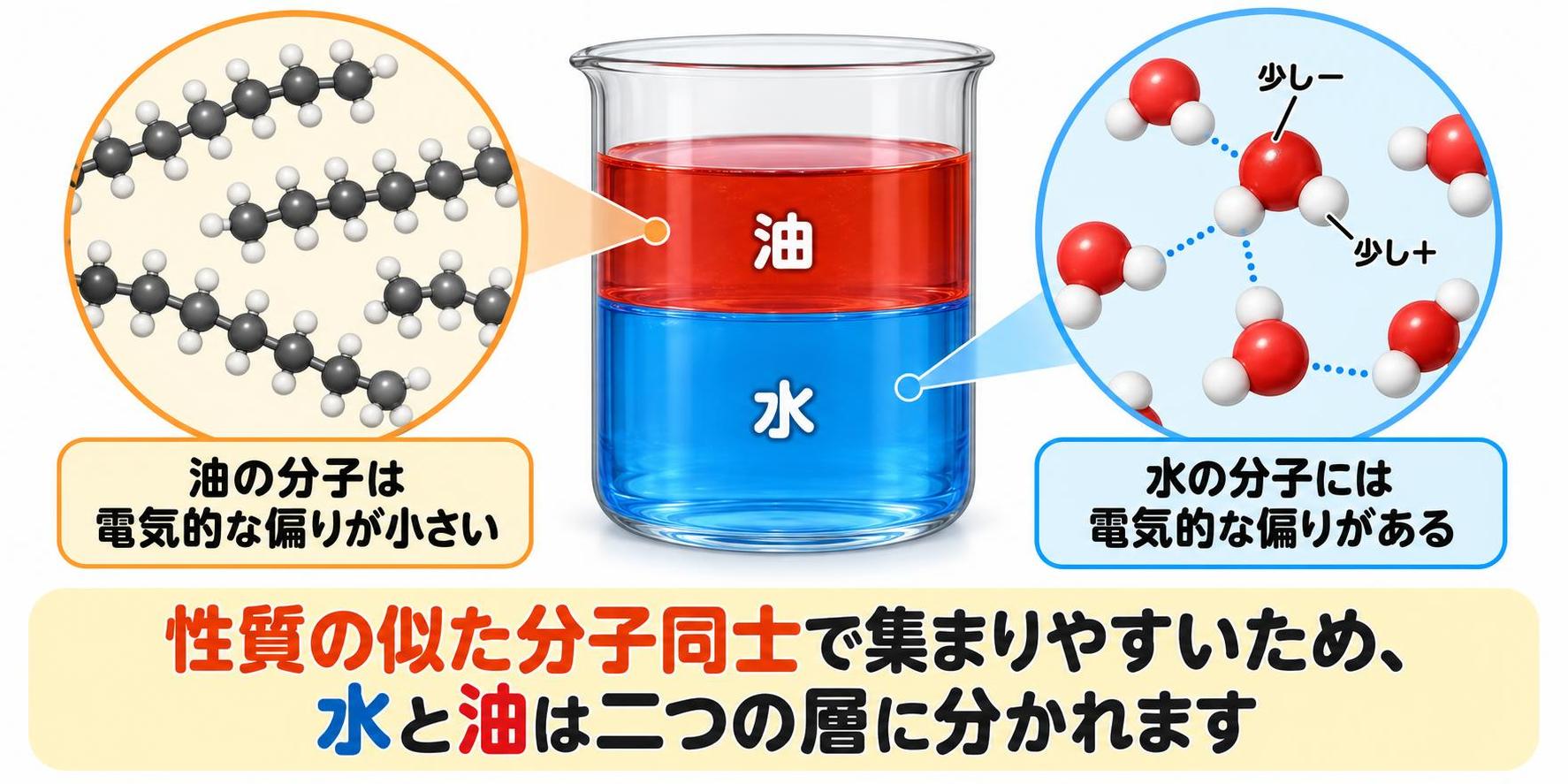 電気的な偏りがある水分子と偏りが小さい油分子がそれぞれ集まり、水と油が二つの層に分かれることを示した図